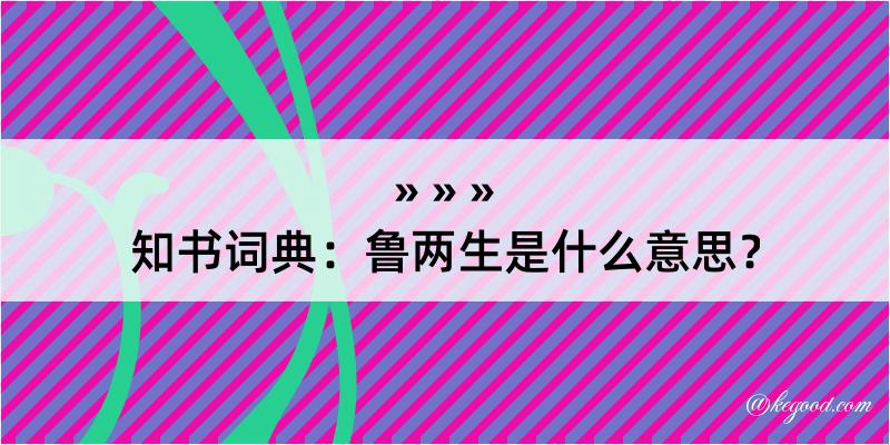 知书词典：鲁两生是什么意思？