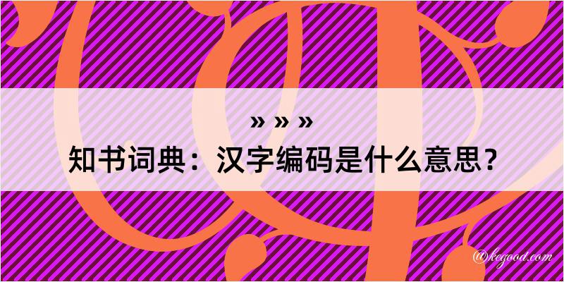 知书词典：汉字编码是什么意思？