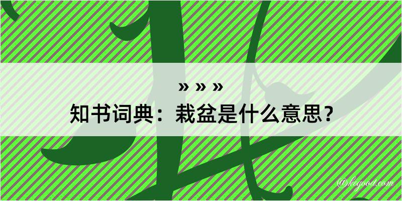 知书词典：栽盆是什么意思？