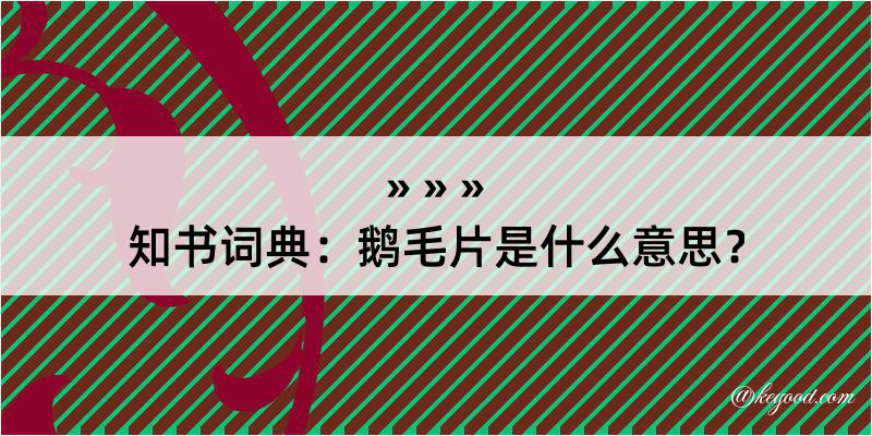 知书词典：鹅毛片是什么意思？