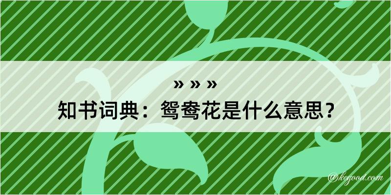 知书词典：鸳鸯花是什么意思？