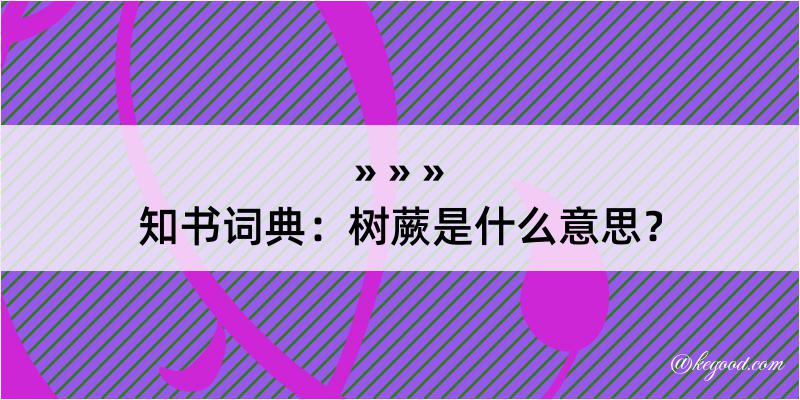 知书词典：树蕨是什么意思？