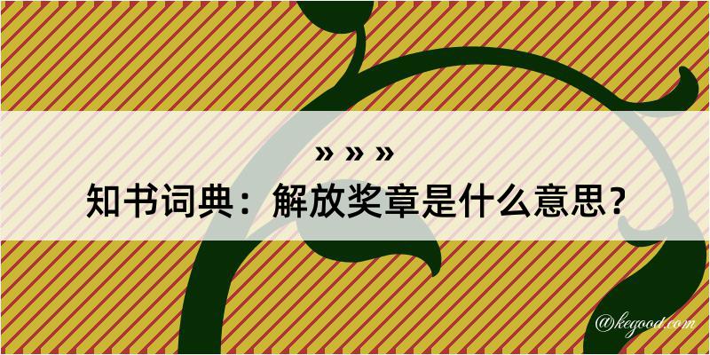 知书词典：解放奖章是什么意思？