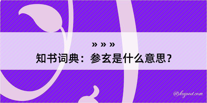 知书词典：参玄是什么意思？