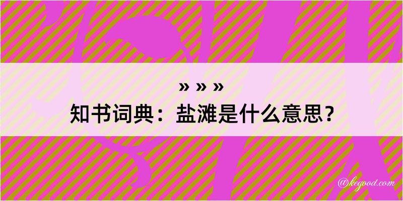 知书词典：盐滩是什么意思？