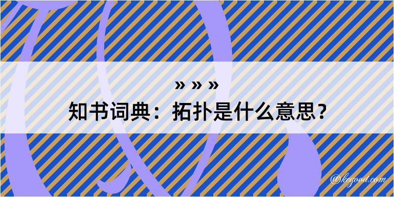 知书词典：拓扑是什么意思？