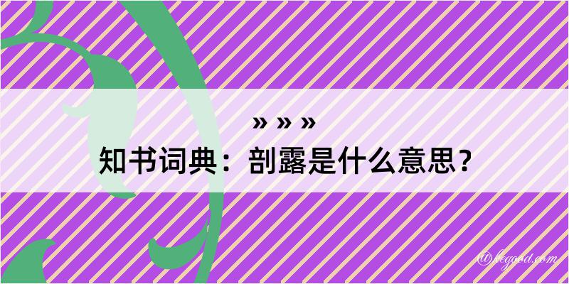 知书词典：剖露是什么意思？