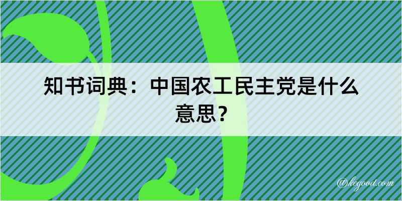 知书词典：中国农工民主党是什么意思？