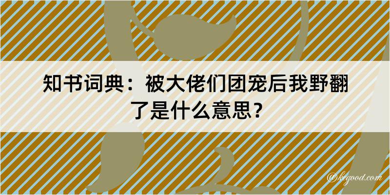 知书词典：被大佬们团宠后我野翻了是什么意思？