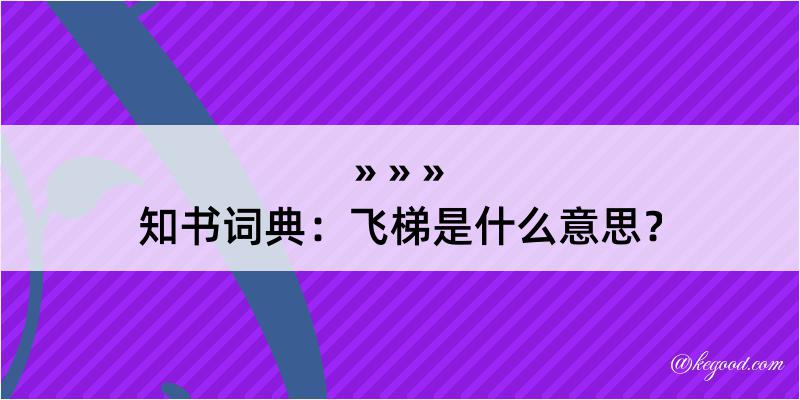 知书词典：飞梯是什么意思？