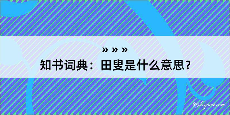 知书词典：田叟是什么意思？