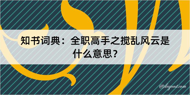 知书词典：全职高手之搅乱风云是什么意思？