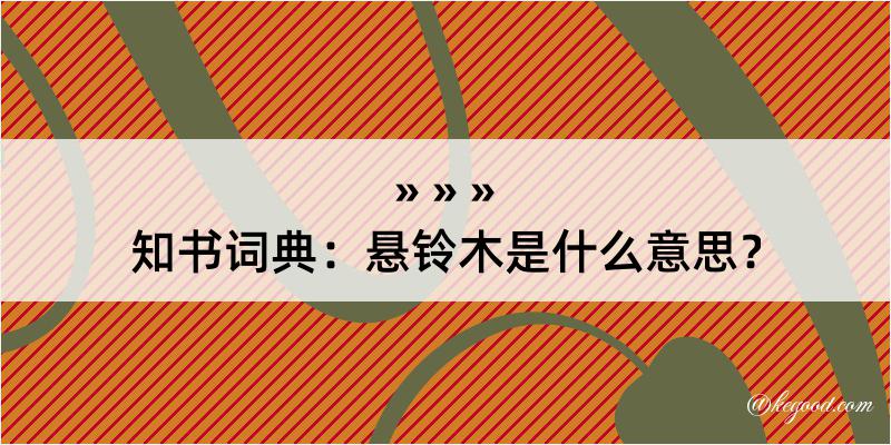 知书词典：悬铃木是什么意思？