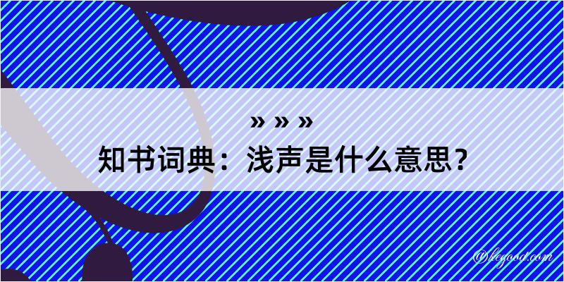 知书词典：浅声是什么意思？