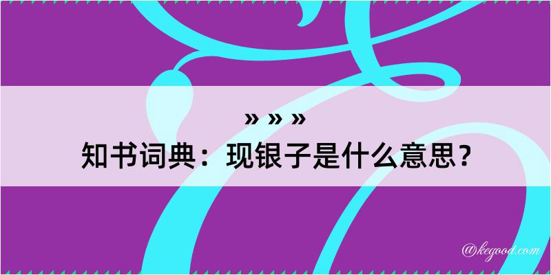 知书词典：现银子是什么意思？