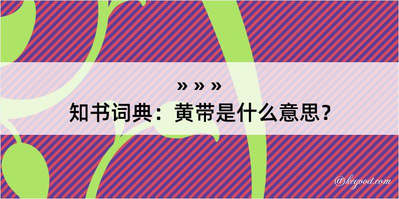 知书词典：黄带是什么意思？