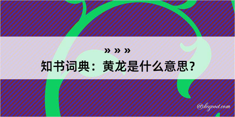 知书词典：黄龙是什么意思？