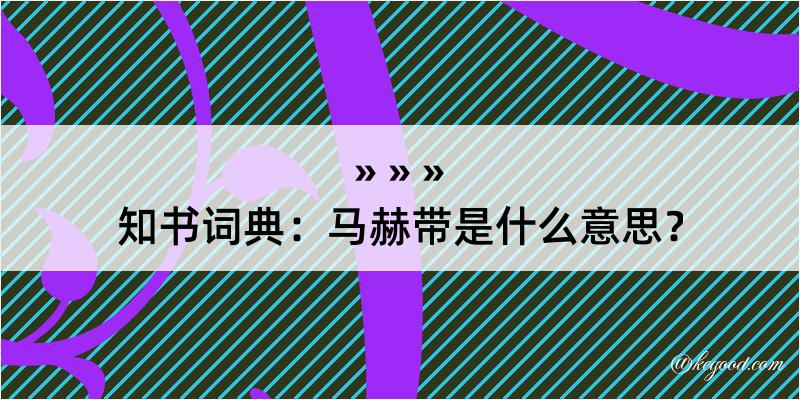 知书词典：马赫带是什么意思？