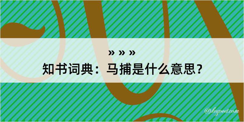 知书词典：马捕是什么意思？