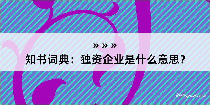 知书词典：独资企业是什么意思？