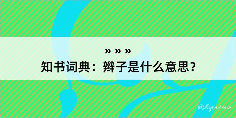 知书词典：辫子是什么意思？