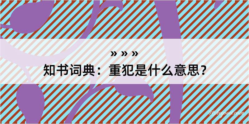 知书词典：重犯是什么意思？