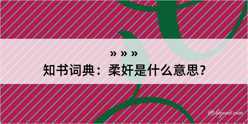 知书词典：柔奸是什么意思？