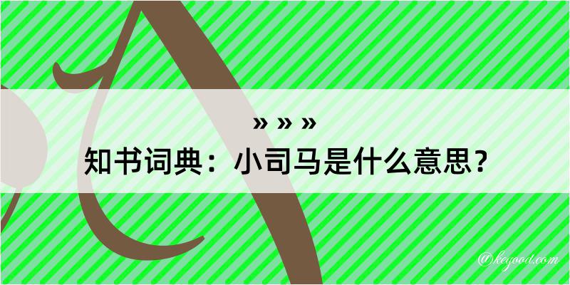 知书词典：小司马是什么意思？