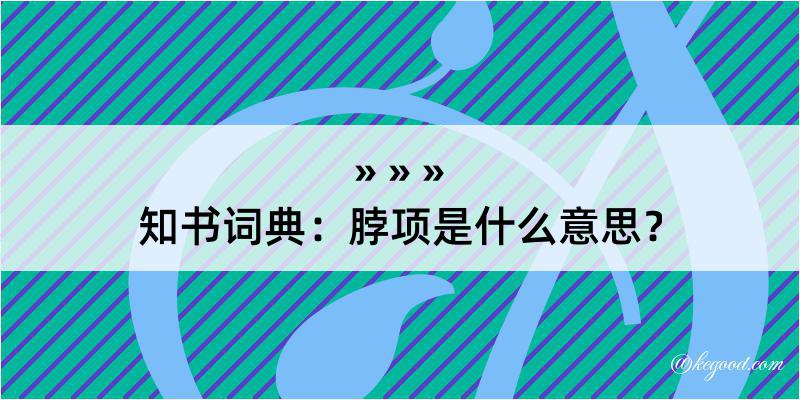 知书词典：脖项是什么意思？