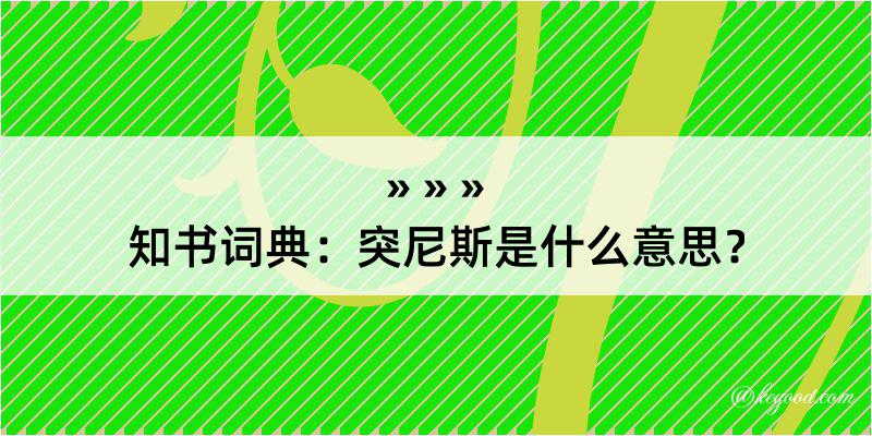 知书词典：突尼斯是什么意思？