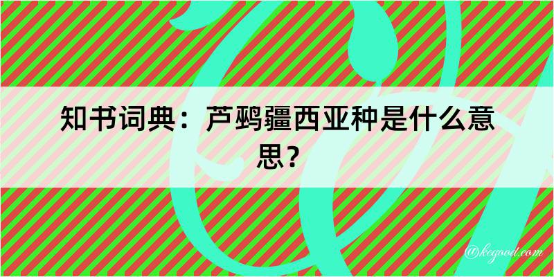 知书词典：芦鹀疆西亚种是什么意思？