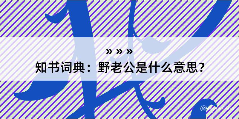 知书词典：野老公是什么意思？