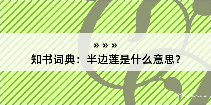 知书词典：半边莲是什么意思？