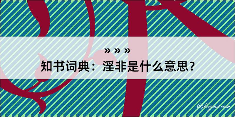 知书词典：淫非是什么意思？