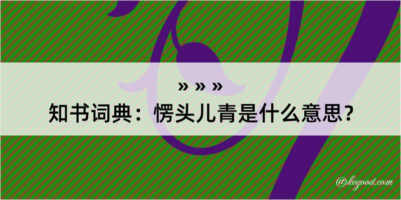 知书词典：愣头儿青是什么意思？