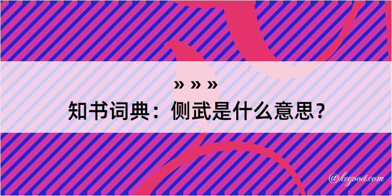 知书词典：侧武是什么意思？