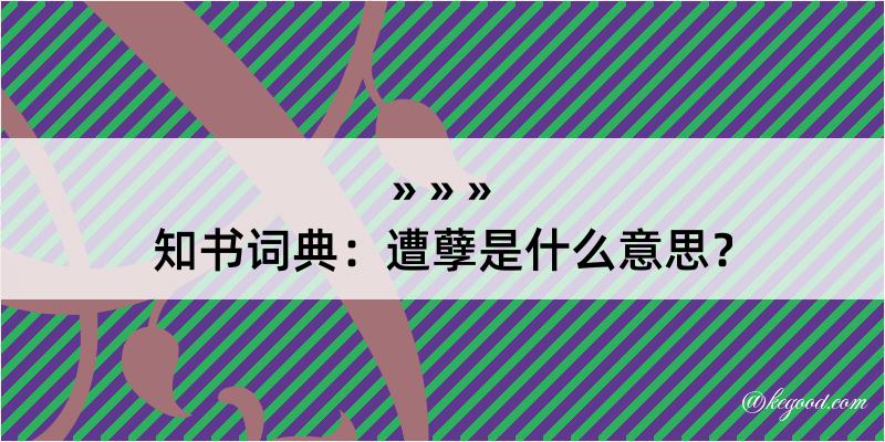 知书词典：遭孽是什么意思？