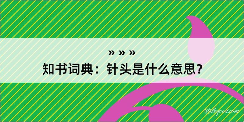 知书词典：针头是什么意思？