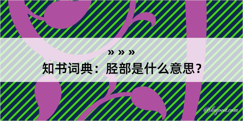 知书词典：胫部是什么意思？