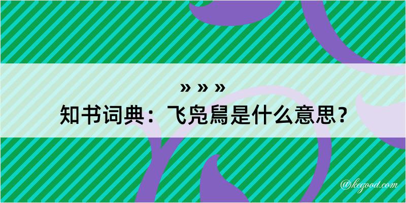 知书词典：飞凫舃是什么意思？