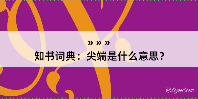 知书词典：尖端是什么意思？