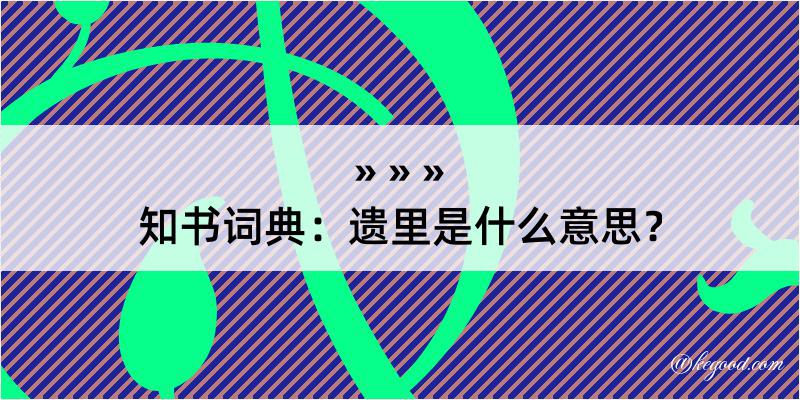 知书词典：遗里是什么意思？