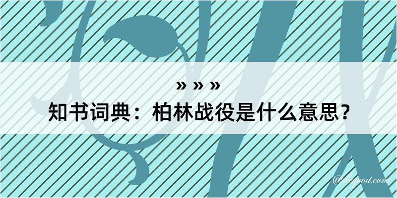 知书词典：柏林战役是什么意思？