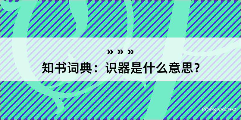 知书词典：识器是什么意思？