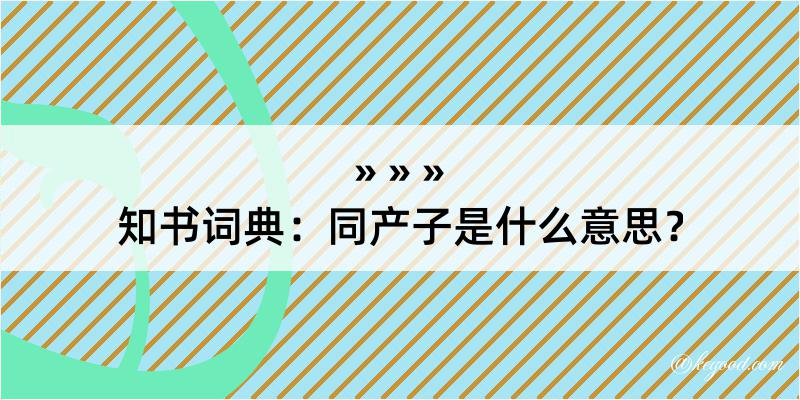 知书词典：同产子是什么意思？