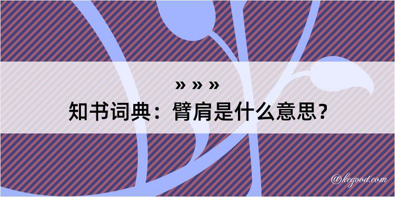 知书词典：臂肩是什么意思？