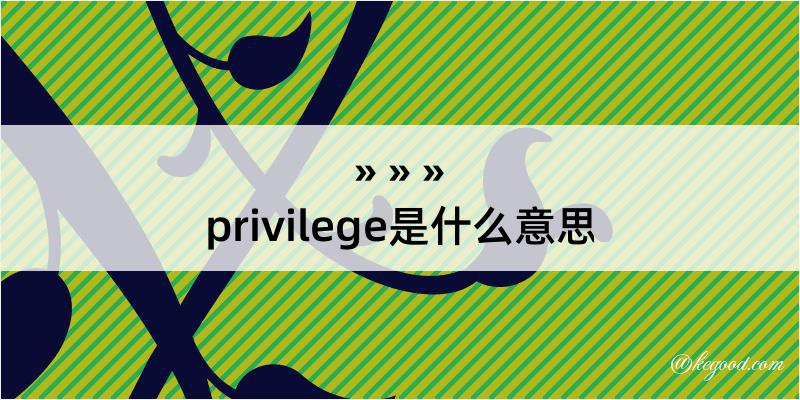 privilege是什么意思