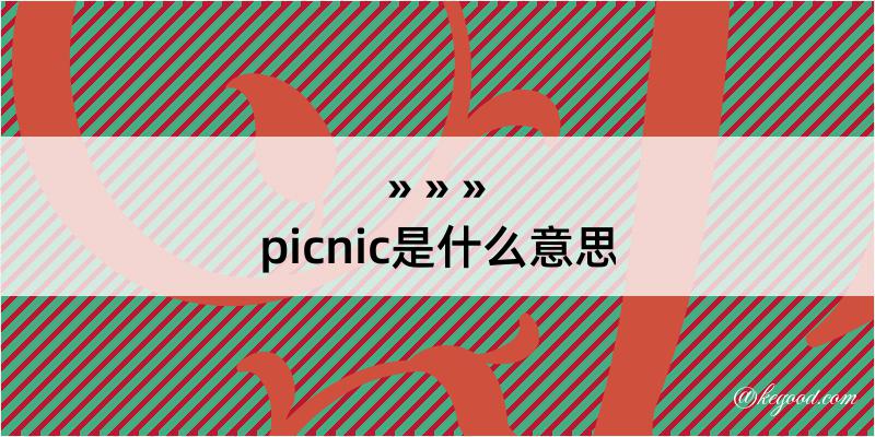 picnic是什么意思