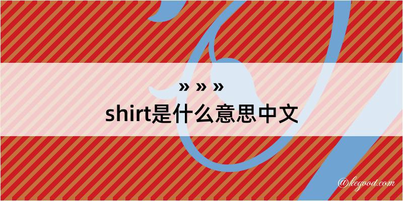shirt是什么意思中文
