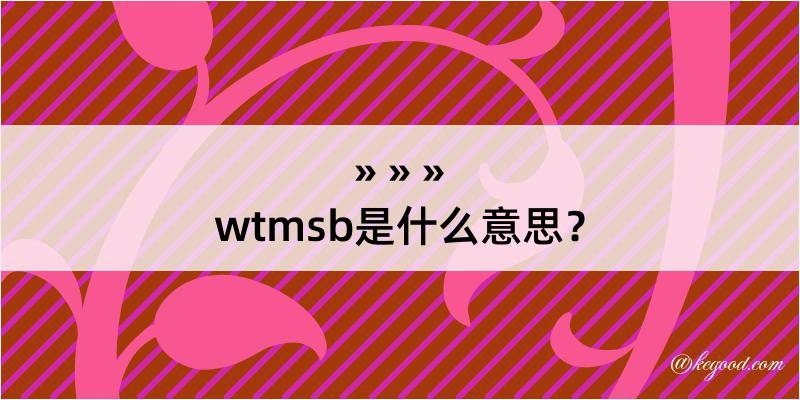 wtmsb是什么意思？